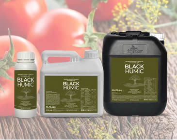 Humic Black
